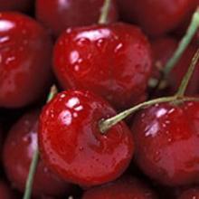 Cherry distillate 100%natural in bulk