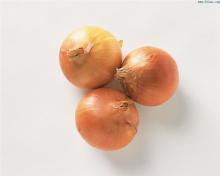 fresh onion