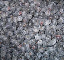 frozen cultivate blueberry