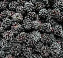 IQF  quick   blackberry 