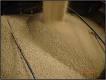 soybean meal