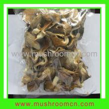 Pleurotus Ostreatus, English Name:Oyster Mushroom