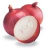 Fresh red onion