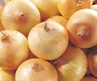 Chinese onion ,tender,succulent,a little pungency,nutritional value ect