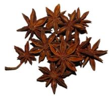 aniseed