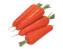 Chinese Fresh Carrot