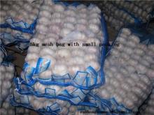 fresh   garlic  approved by haccp and  gap 