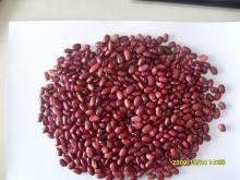 Small red kidney bean