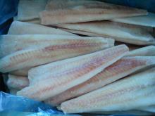 Frozen Alaska Pollock Fillets