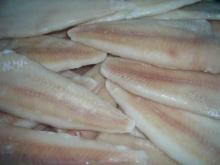 Frozen Alaska Pollock Fillet