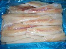 Frozen Alaska Pollock