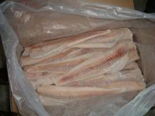 Seafood_Frozen Alaska Pollock Fillet