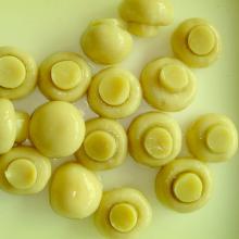 canned whole mushroom