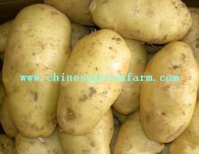 Fresh Potato