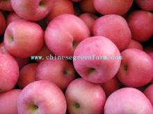 Red Fuji Apple