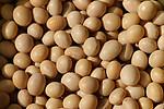 Soybean Extract Isoflavones