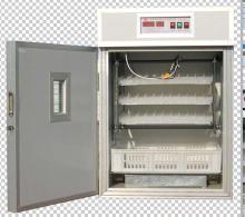 egg incubator for 264 eggs