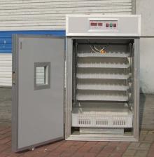 egg incubator for 440eggs