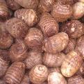 suply fresh taro