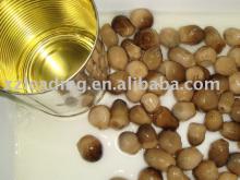 straw mushroom
