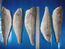 Haddock Skinon Fillets
