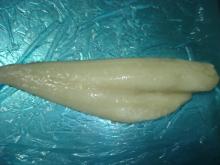 Pacific Cod Boneless Fillets
