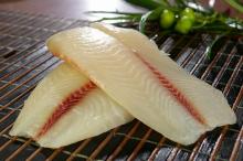 tilapia fillet
