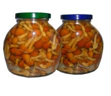 CANNED PICKLED IN ACETIC ACID NAMEKO WHOLE IN GLASS JARS
