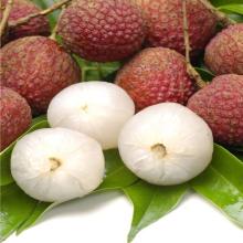  Lychee  Canned