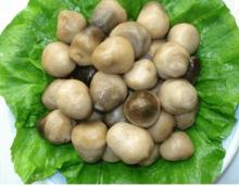 Canned Straw Mushroom
