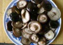 Canned Shiitake Mushroom