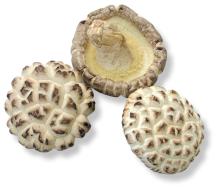 white flower shiitake