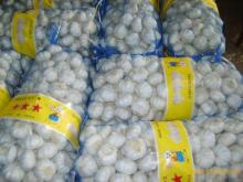 top A chinese normal white garlic