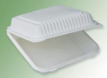 biodegradable one com container