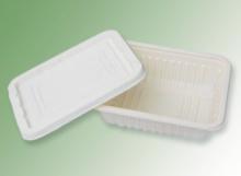 biodegradable square container with lid