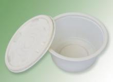 biodegradable bowl