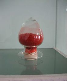 Salvia miltiorrhiza extract