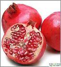 Pomegranate P.E