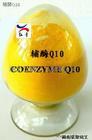 Coenzyme Q10