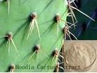 Cactus Extract