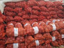 2011 chinese fresh red onion