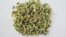 dehydrated parsley stalk
