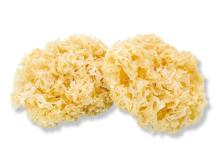 white fungus
