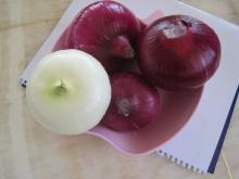 2011 chinese fresh yunnan onion