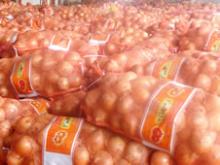 mesh bag packed onion