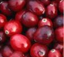 Cranberry Extract