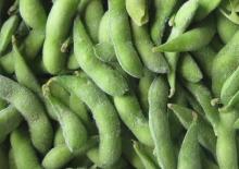Frozen soy bean