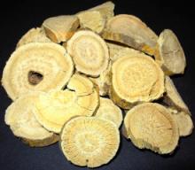 Bitter  Sophora  Root  Extract 