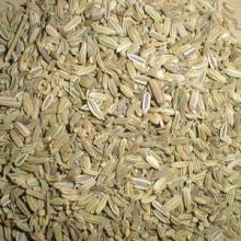 Fennel Seed Extract