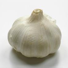 Garlic Extract